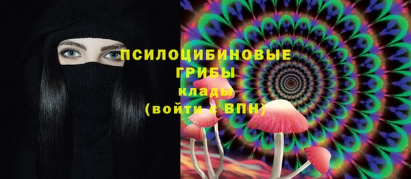 не бодяженный Алзамай