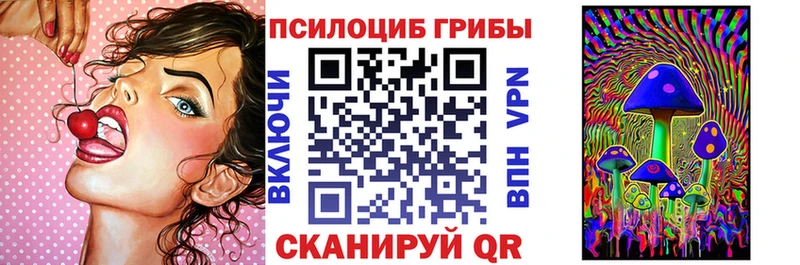 Галлюциногенные грибы мухоморы  где купить наркотик  МЕГА как войти  Южно-Сухокумск 